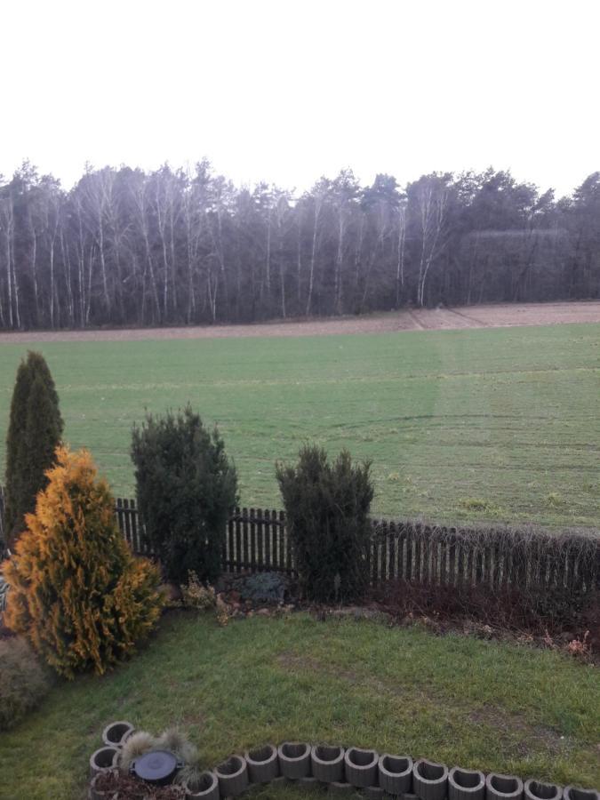 Villa Farma Aktywnego Wypoczynku Dagaspa Repki
